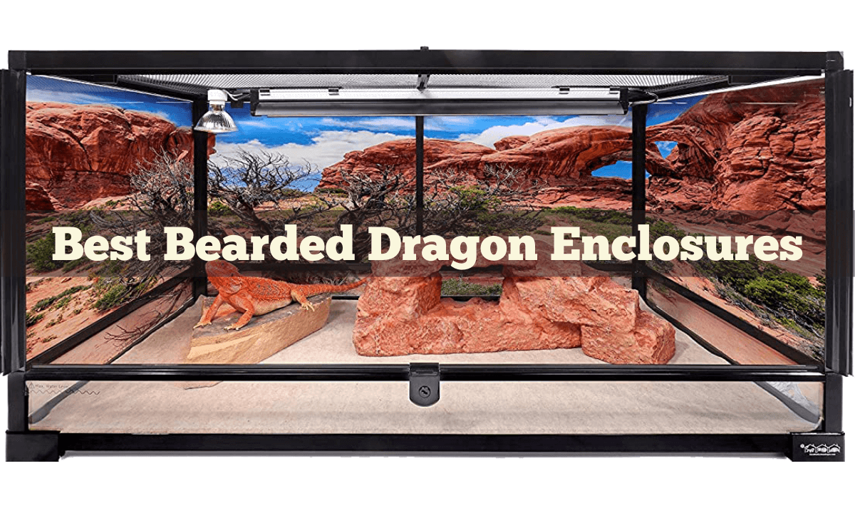 6 Best Bearded Dragon Enclosures, Tanks, Cages & Terrariums