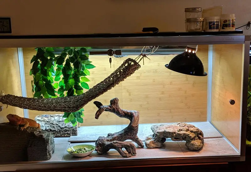 our-zen-habitat-enclosure