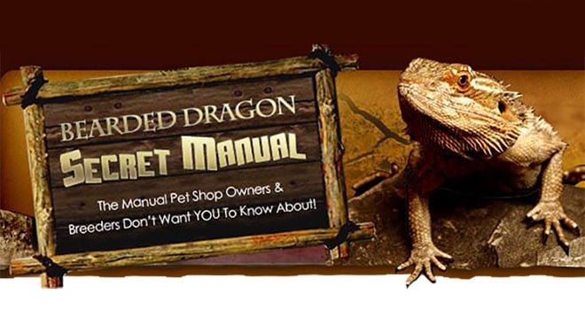 Bearded-dragon-secret-manual