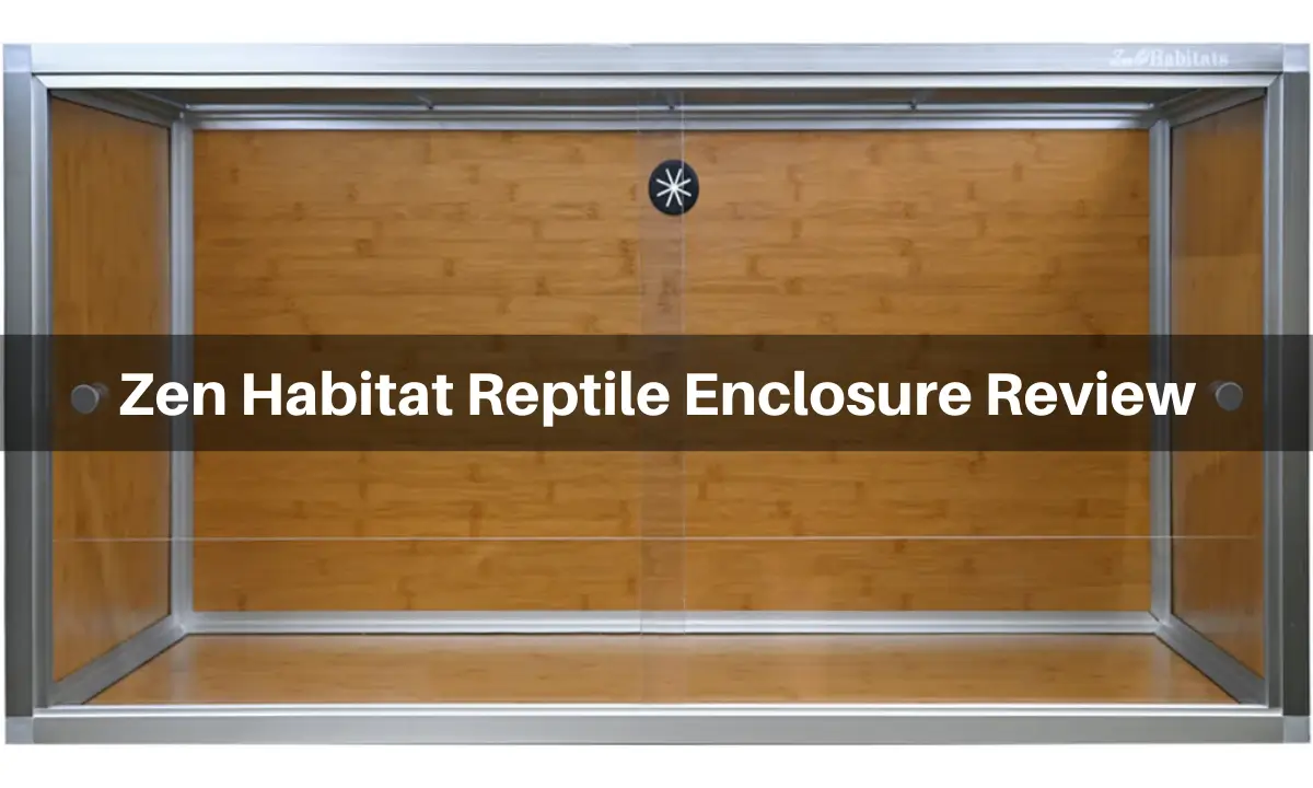 zen-habitat-reptile-enclosure-review