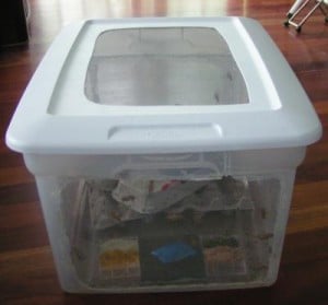 Breeding-container-for-crickets