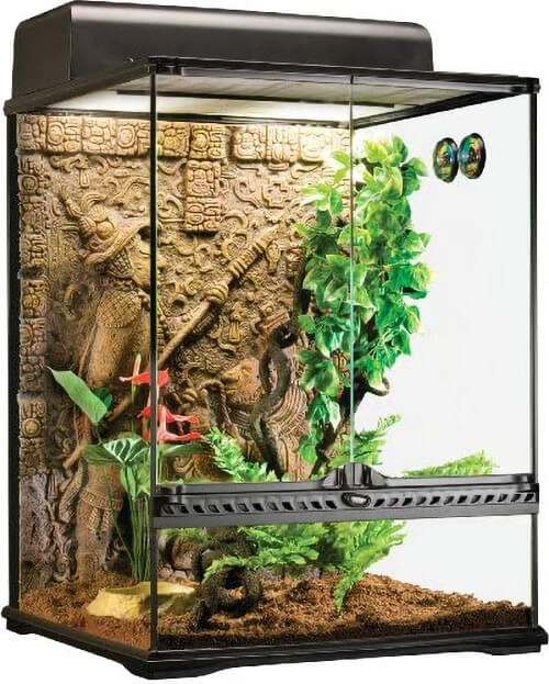 exo-terra-glass-terrarium-mayan