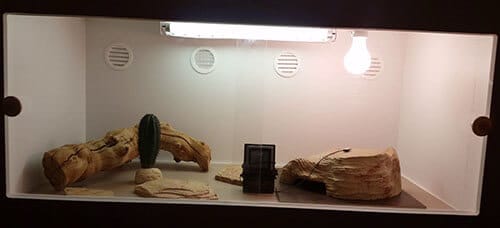 pvc-bearded-dragon-cage