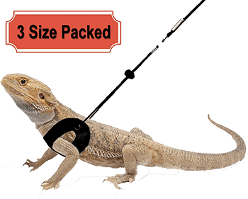 RYPET-3-packs-bearded-dragon-harness-and-leash