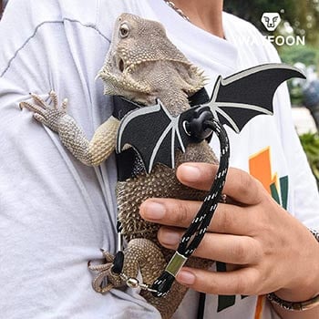 bearded dragon leashes for sale