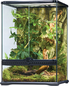Exo-Terra-Rainforest-Habitat-Kit-for-Chameleon