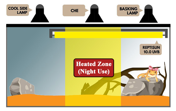 Ceramic heat lamp outlet for bearded dragon