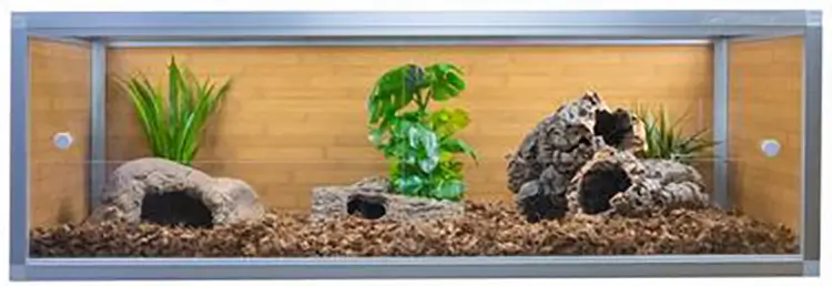 best-ball-python-enclosure