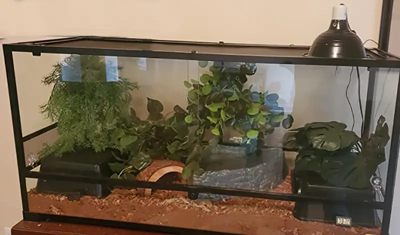 Our-REPTI-ZOO-85-Gallon-Glass-Reptile-Terrarium