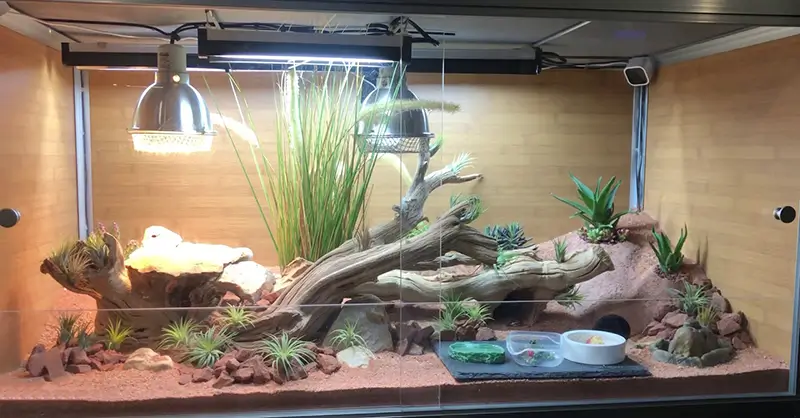 our-zen-habitat-enclosure