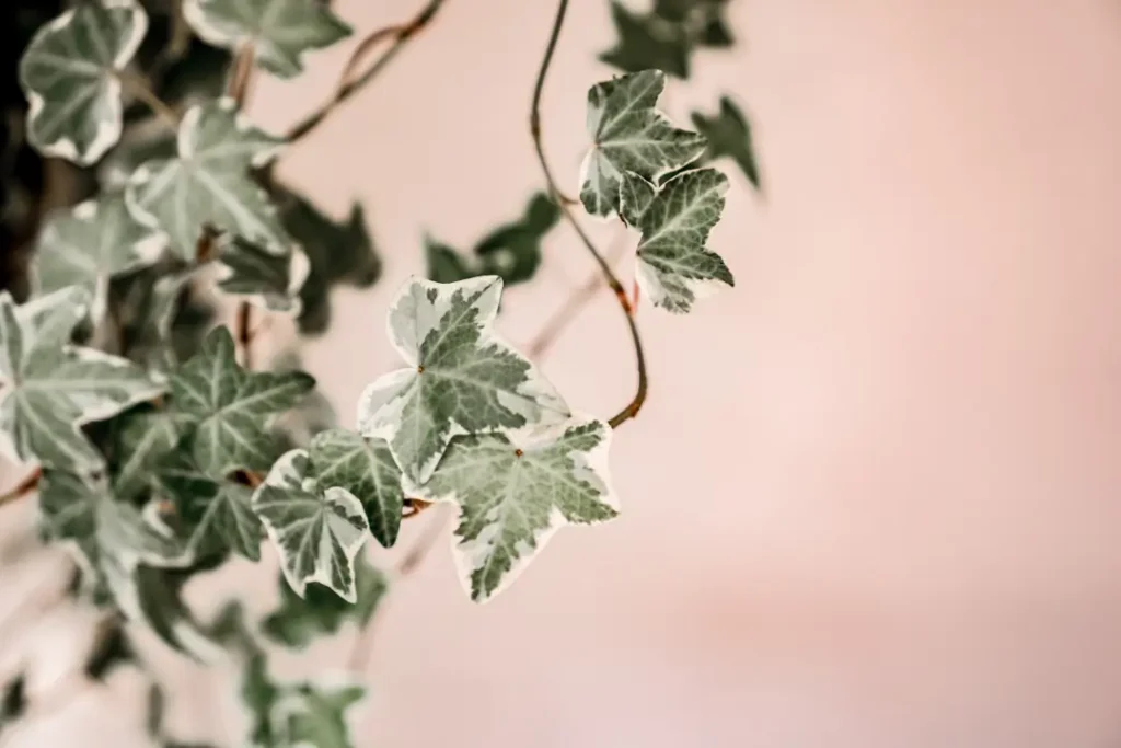 artificial-plants-for-bearded-dragon-habitat