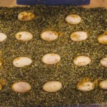how-to-incubate-bearded-dragon-eggs